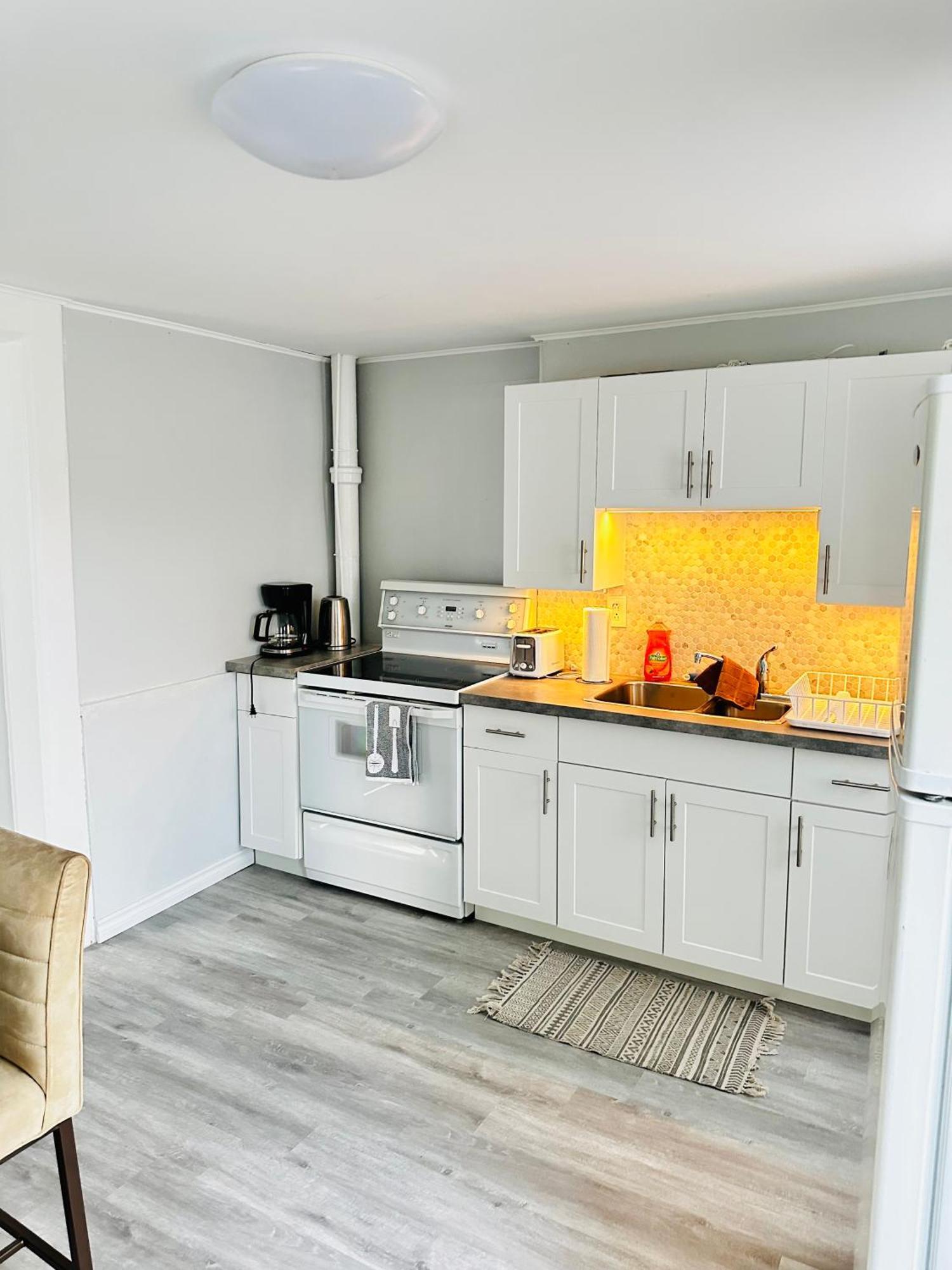 Cozy 2Br House Near Centre With Patio, Bbq, Backyard, And Netflix Apartment Peterborough Bagian luar foto